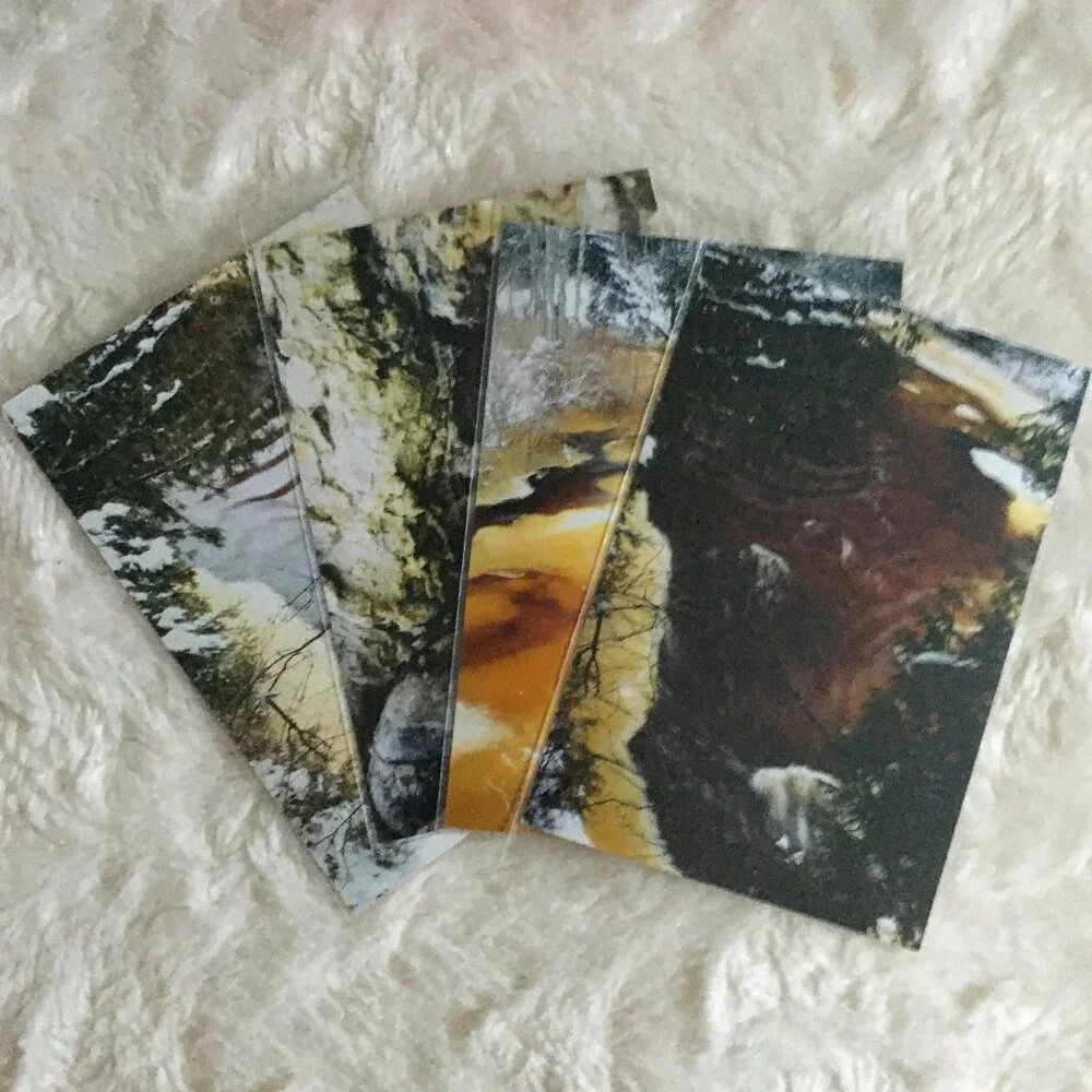 Set of 4 Original Canadian Winter Photographs Icy River Mossy Bark Nature Art - Picture 1 of 7